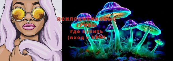 гашик Армянск