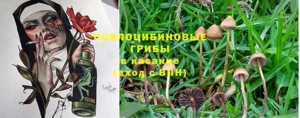 гашик Армянск